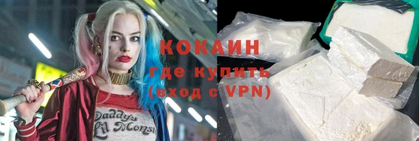 Альфа ПВП Каменка