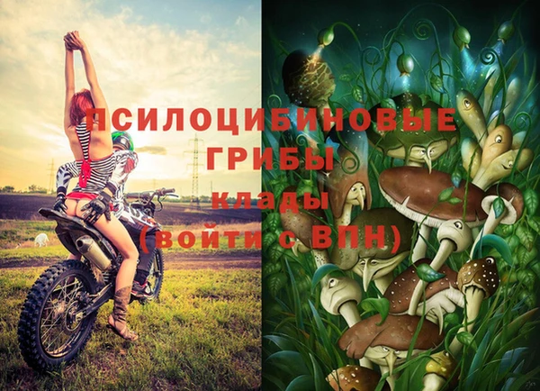 Альфа ПВП Каменка