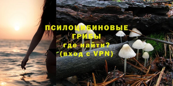 Альфа ПВП Каменка