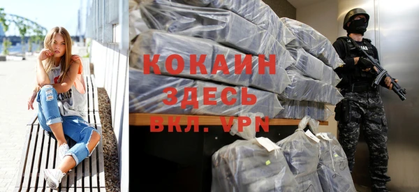 Альфа ПВП Каменка