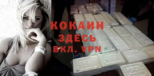 Альфа ПВП Каменка