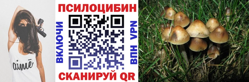 Купить Туймазы Галлюциногенные грибы Psilocybe